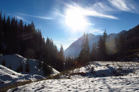 Enlarge photo 77