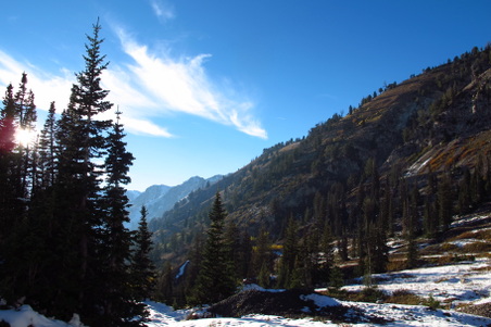 Enlarge photo 79