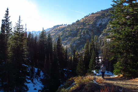 Enlarge photo 84