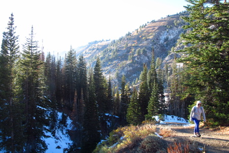 Enlarge photo 85