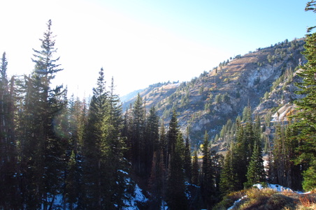 Enlarge photo 86