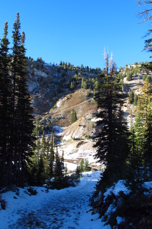 Enlarge photo 87