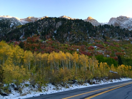 Enlarge photo 116