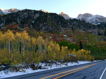 Enlarge photo 117