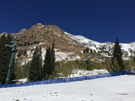 Enlarge photo 128
