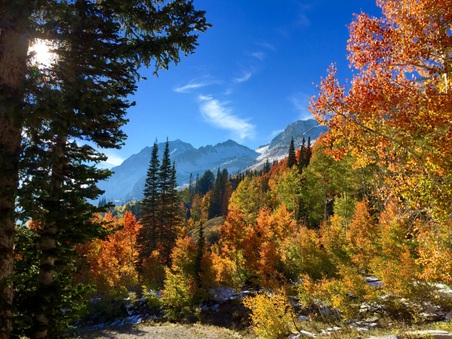 Enlarge photo 149