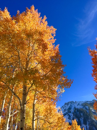 Enlarge photo 152