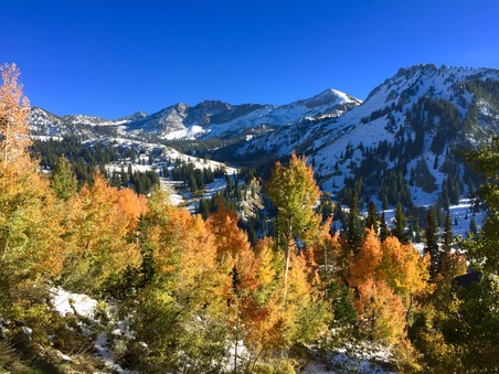 Enlarge photo 154