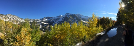 Enlarge photo 155