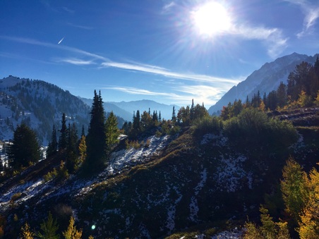 Enlarge photo 158