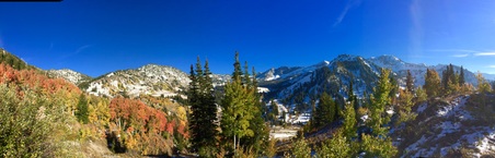 Enlarge photo 161