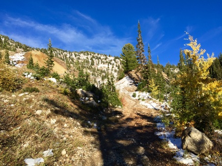 Enlarge photo 169