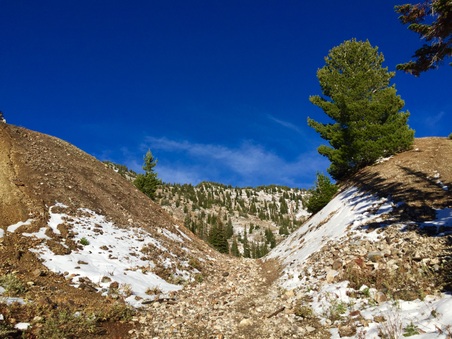 Enlarge photo 170