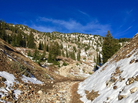 Enlarge photo 171