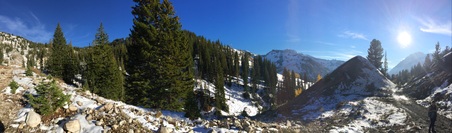 Enlarge photo 174