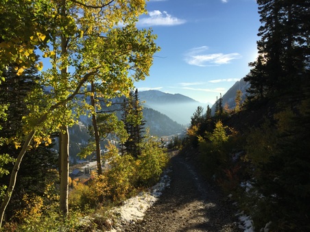 Enlarge photo 185