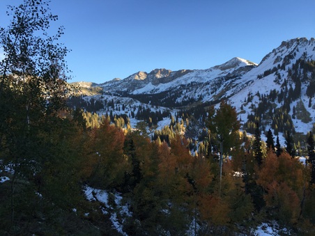 Enlarge photo 190