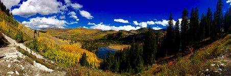 Enlarge photo 225