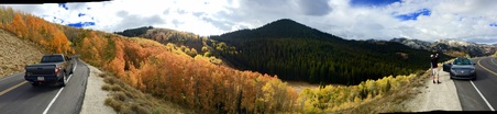 Enlarge photo 227