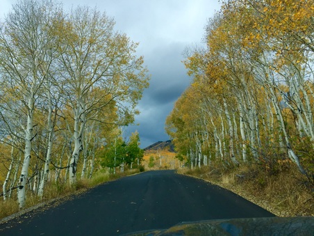 Enlarge photo 247