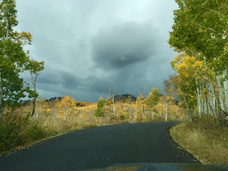 Enlarge photo 248