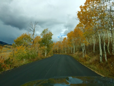 Enlarge photo 251