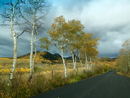 Enlarge photo 252
