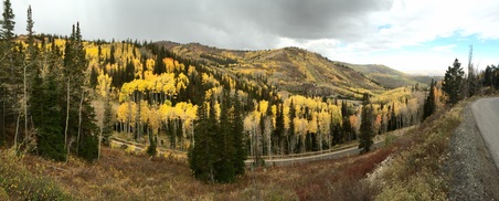 Enlarge photo 261