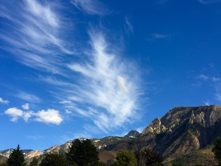 Enlarge photo 268