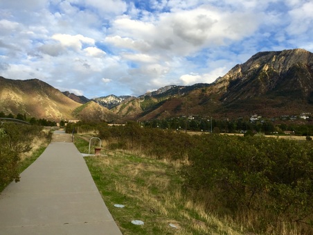Enlarge photo 269