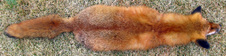 Enlarge photo 281