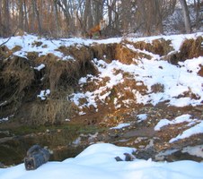 Enlarge photo 91
