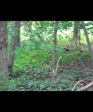 Enlarge WMV 207
