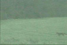 Enlarge MPEG 62