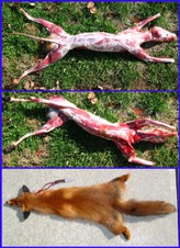 Enlarge photo 108