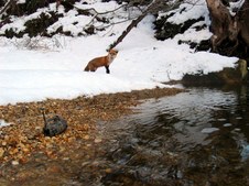 Enlarge photo 92