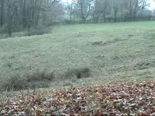 Enlarge WMV 60