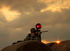 Enlarge photo 208