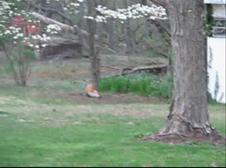 Enlarge WMV 206