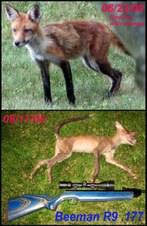 Enlarge photo 143