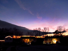 Enlarge photo 249