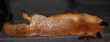 Enlarge photo 195