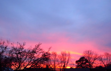 Enlarge photo 329