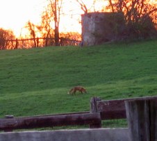 Enlarge photo 95