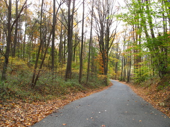 Enlarge photo 176