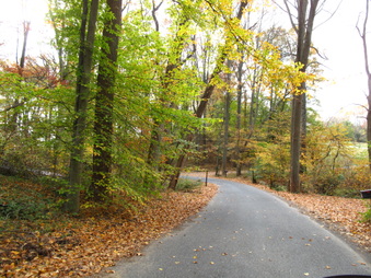 Enlarge photo 175