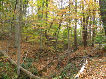 Enlarge photo 179