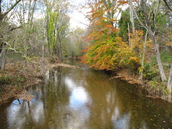 Enlarge photo 180