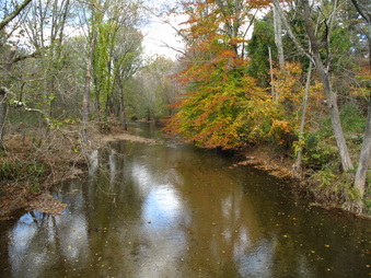 Enlarge photo 181