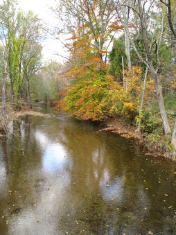 Enlarge photo 183